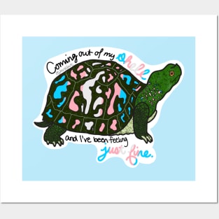 Trans* Pride Turtle Posters and Art